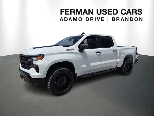 Vehicle Detail Icon