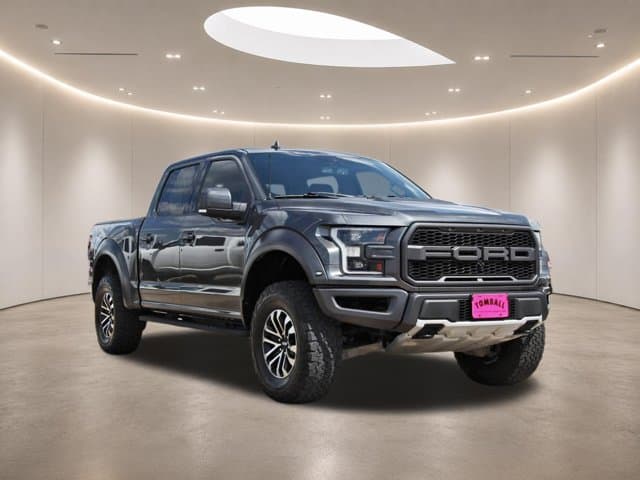 2019 Ford F-150 Raptor — photo 1 of 39