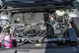 Extra Photo