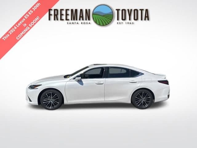 Vehicle Detail Icon