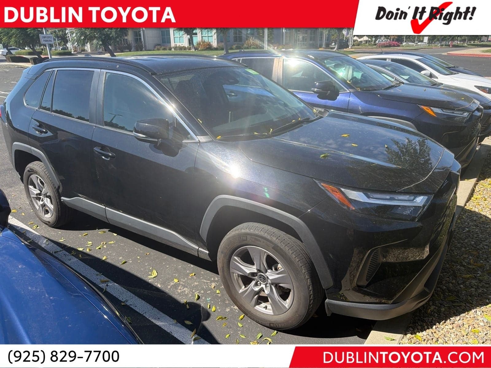 2025 Toyota RAV4 XLE — photo 1 of 10