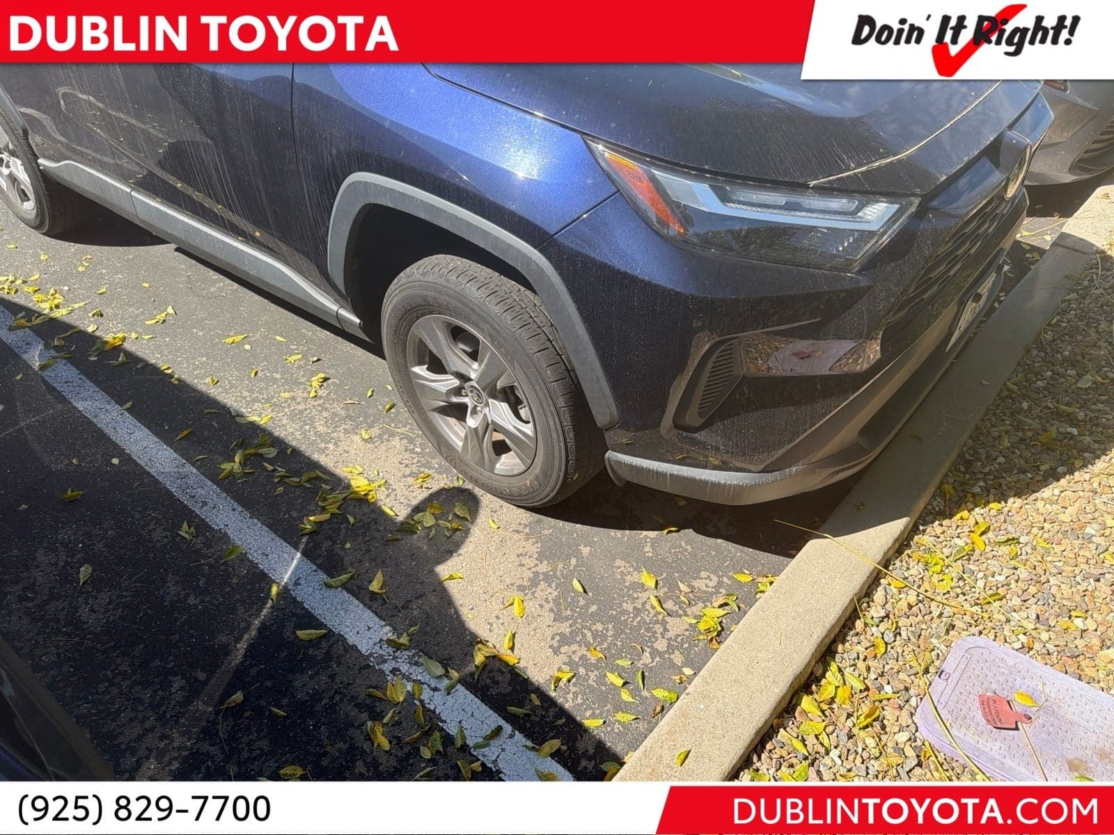 2024 Toyota RAV4 XLE — photo 1 of 8