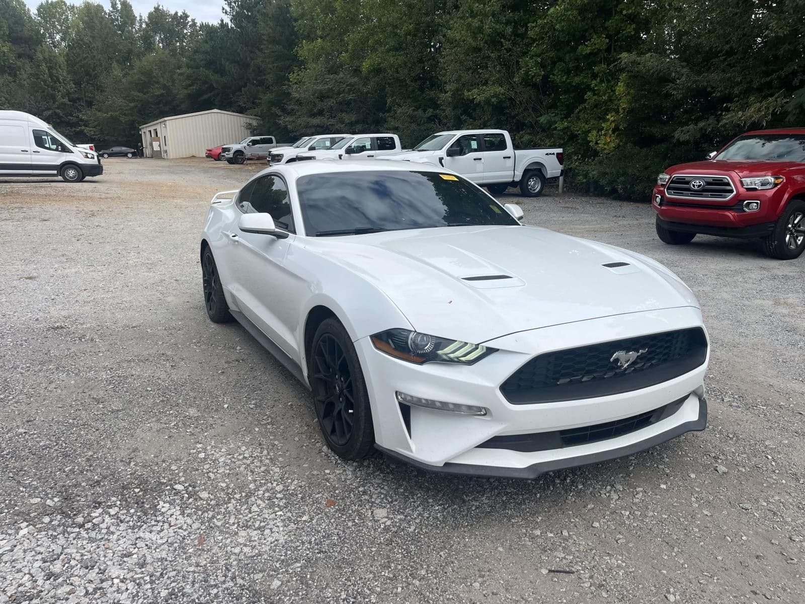 2019 Ford Mustang EcoBoost — photo 1 of 8