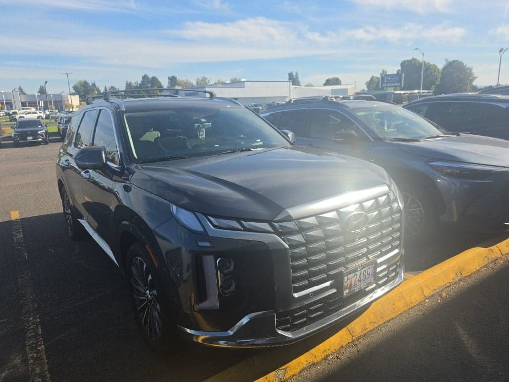2024 Hyundai Palisade Calligraphy — photo 1 of 13