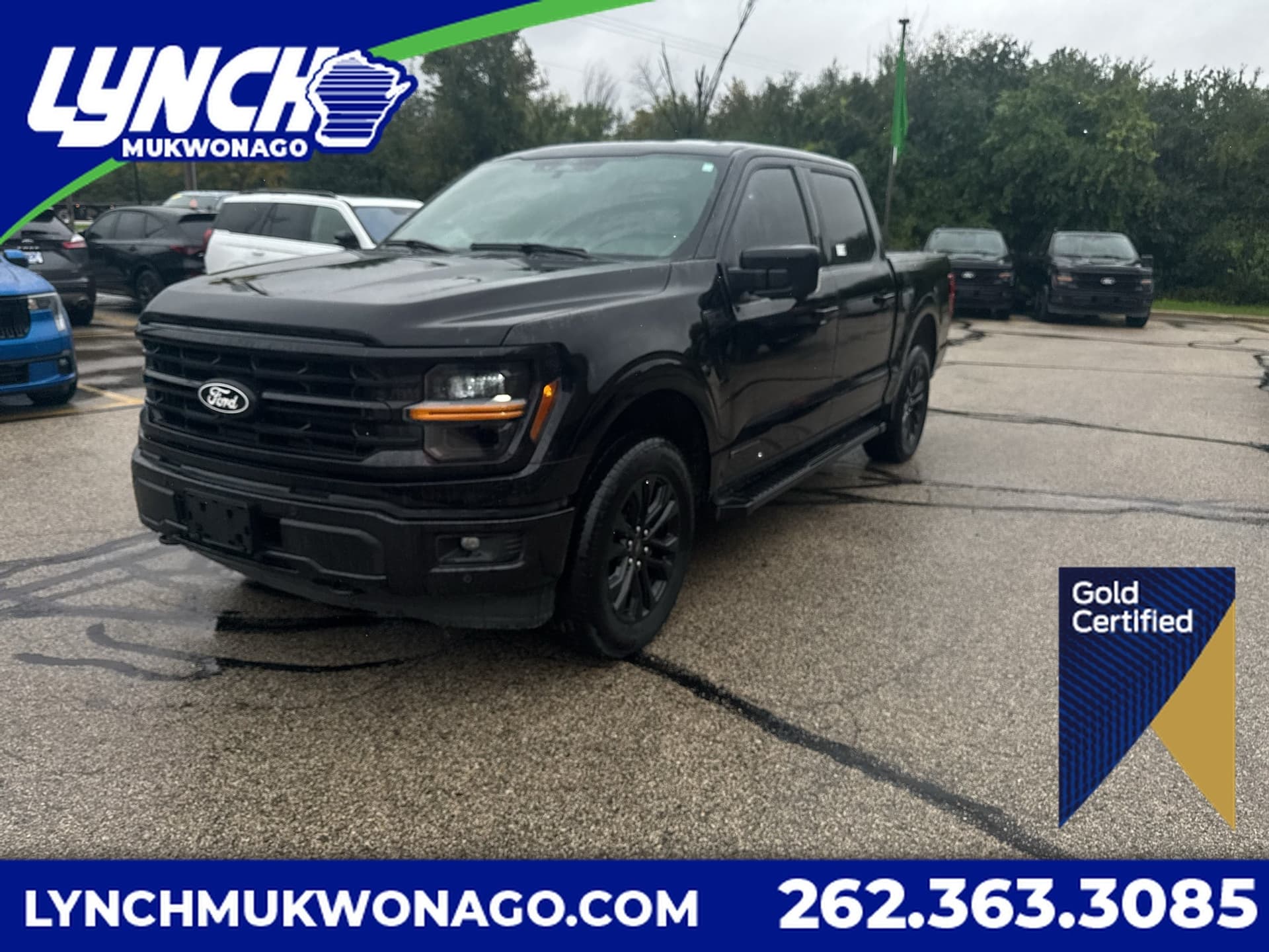 2024 Ford F-150 XLT — photo 1 of 41