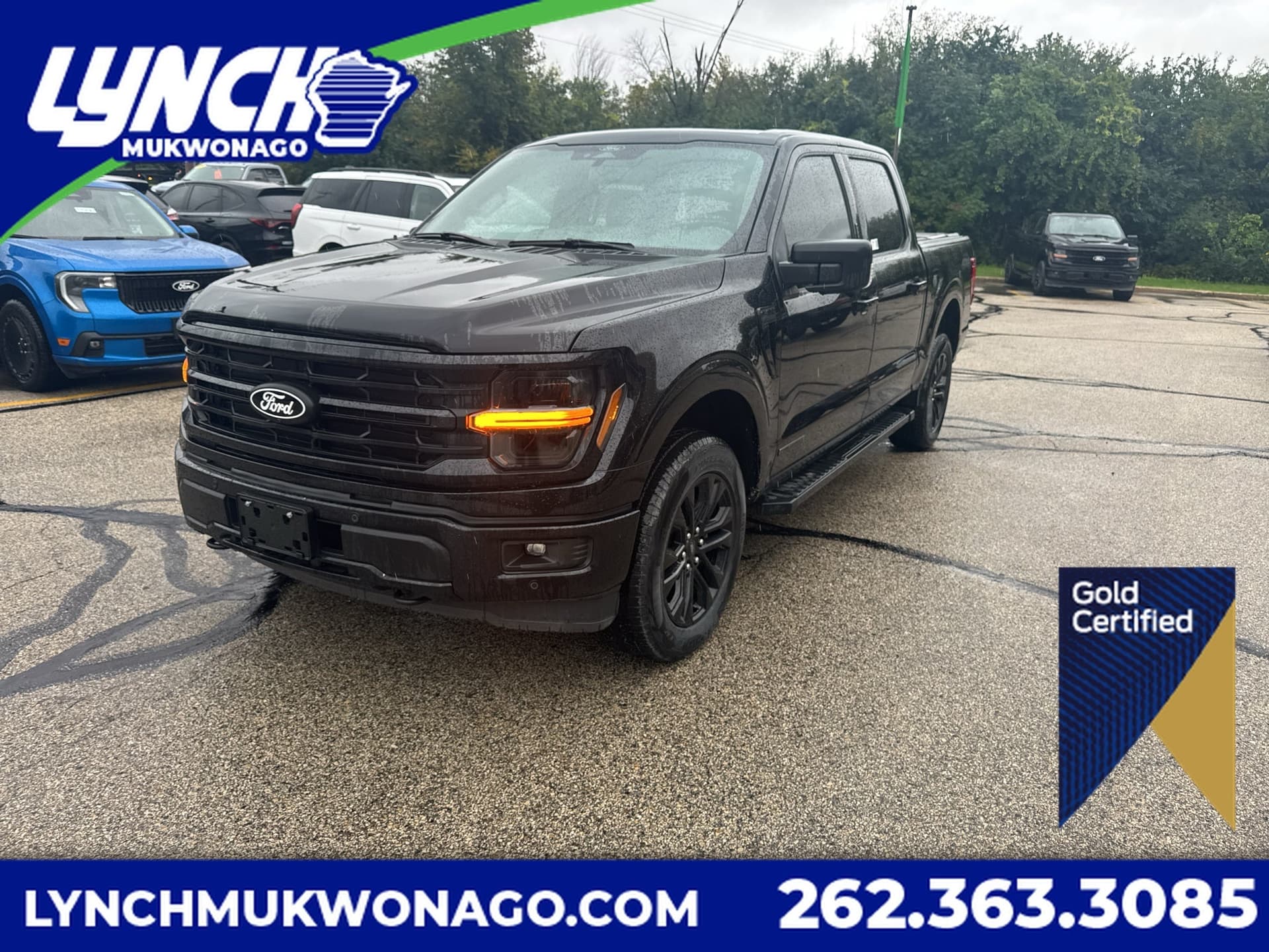 2024 Ford F-150 XLT — photo 1 of 41