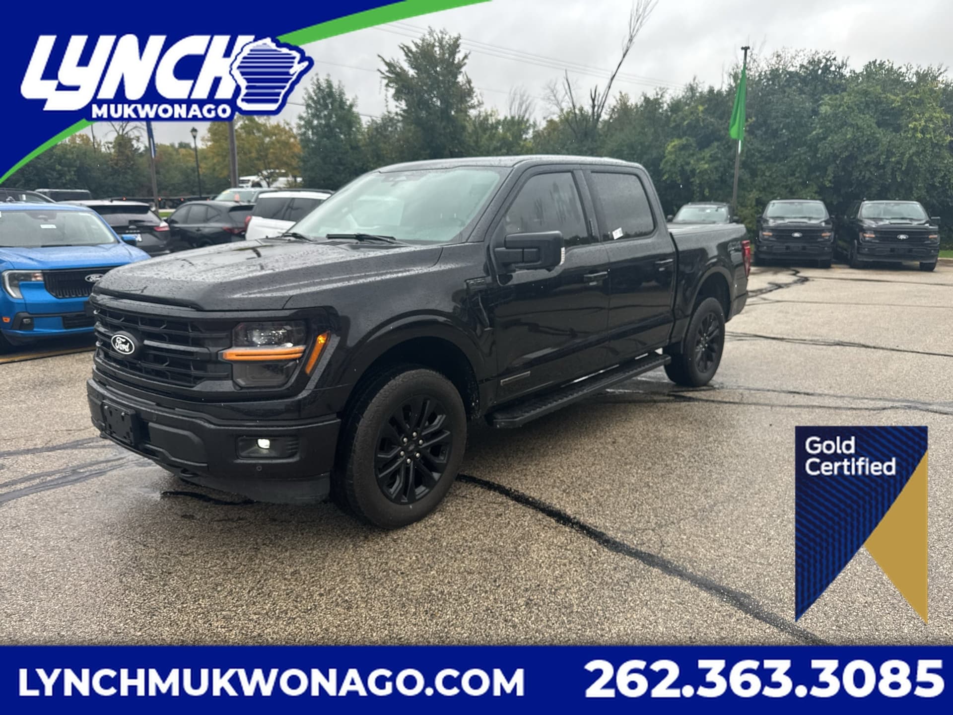 2024 Ford F-150 XLT — photo 1 of 41