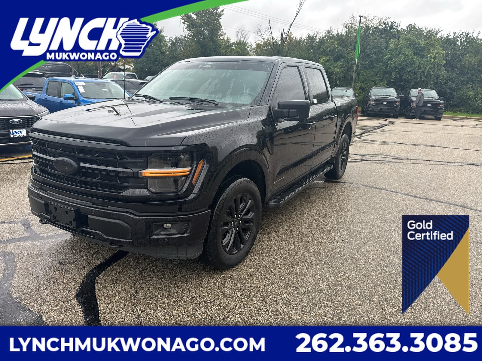 2024 Ford F-150 XLT — photo 1 of 41