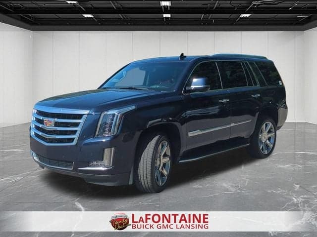 2020 Cadillac Escalade Luxury — photo 1 of 51