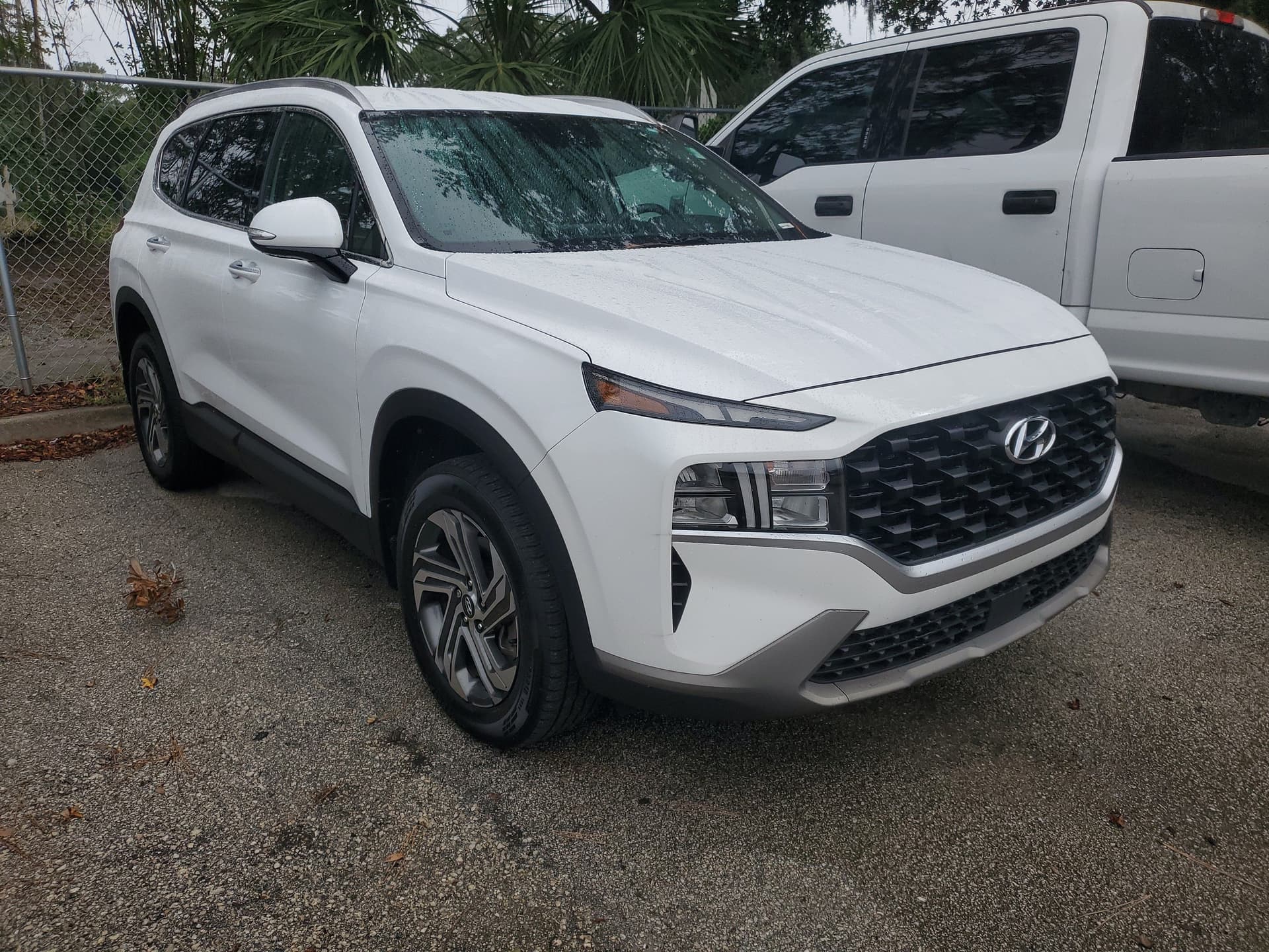 2023 Hyundai Santa Fe SEL — photo 1 of 5