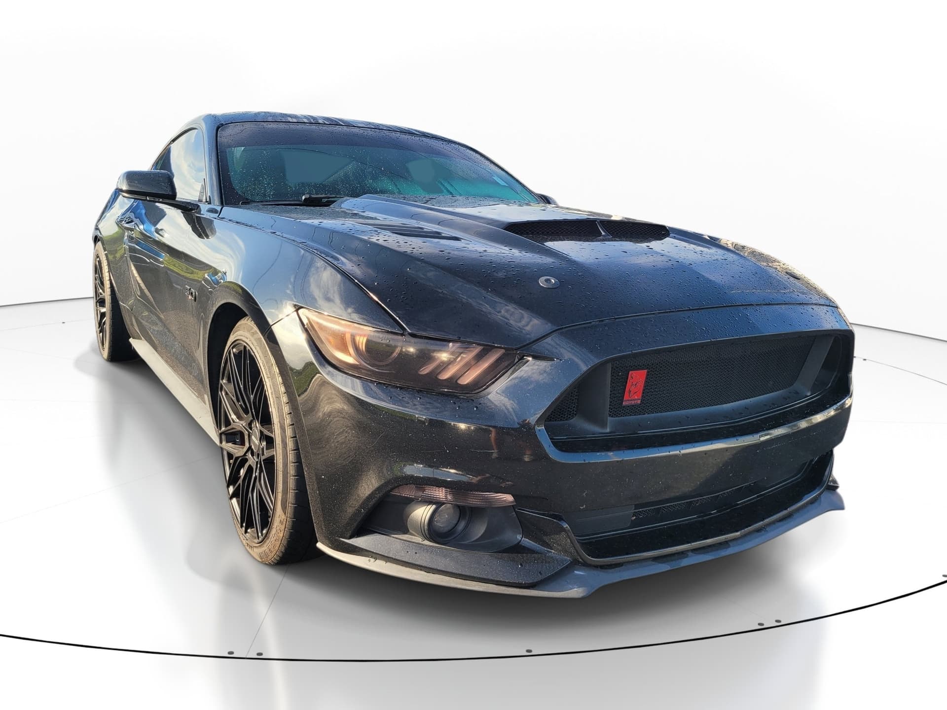 2016 Ford Mustang GT — photo 1 of 25