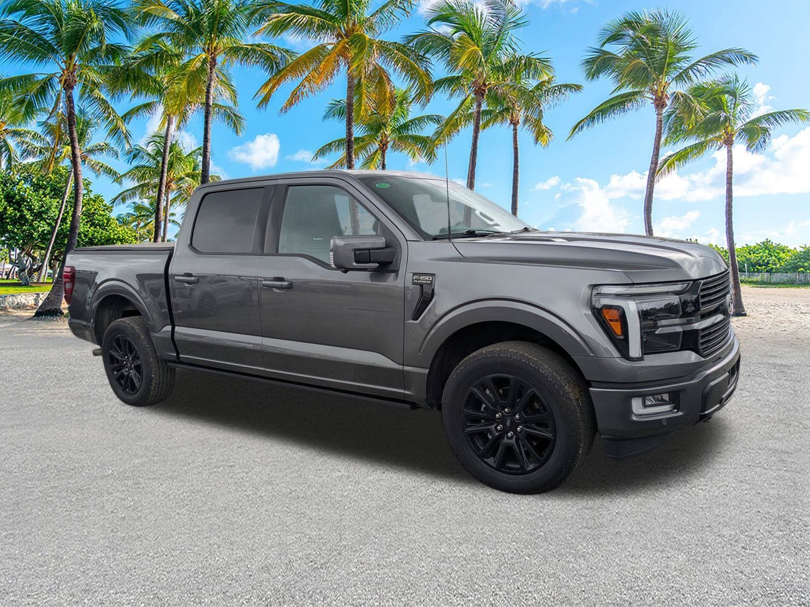 2025 Ford F-150 Platinum — photo 1 of 45