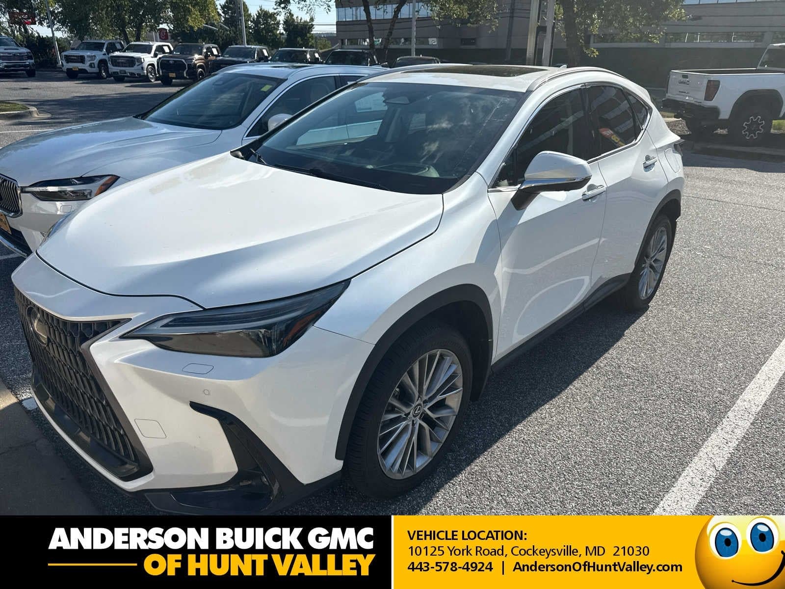 2024 Lexus NX NX 350 Luxury — photo 1 of 5