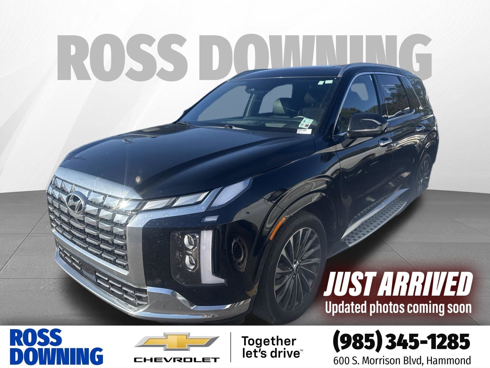 2023 Hyundai Palisade Calligraphy — photo 1 of 3
