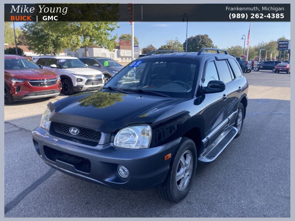 2003 Hyundai Santa Fe LX — photo 1 of 29