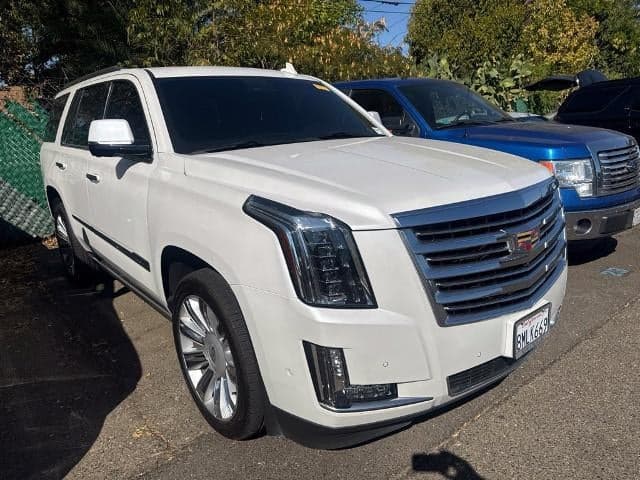 2019 Cadillac Escalade Platinum — photo 1 of 5
