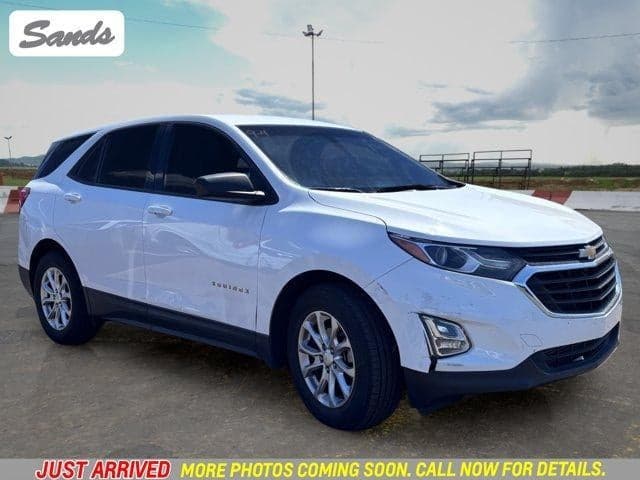 2019 Chevrolet Equinox LS — photo 1 of 12