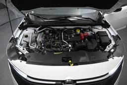 Extra Photo