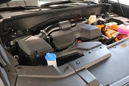 Extra Photo