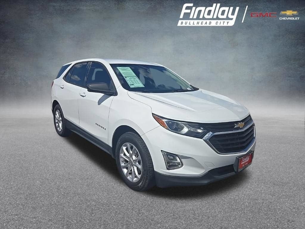 2019 Chevrolet Equinox LS — photo 1 of 35
