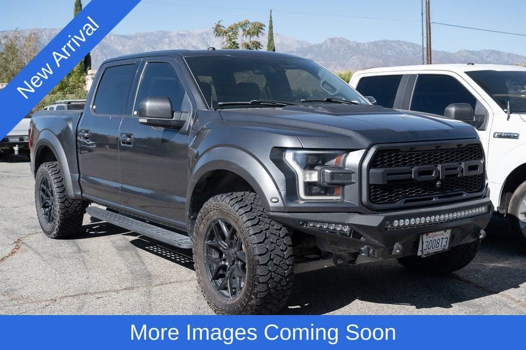 2017 Ford F-150 Raptor — photo 1 of 12
