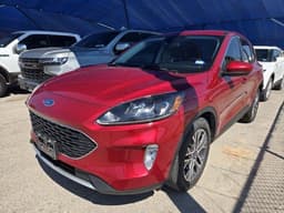 Extra Photo