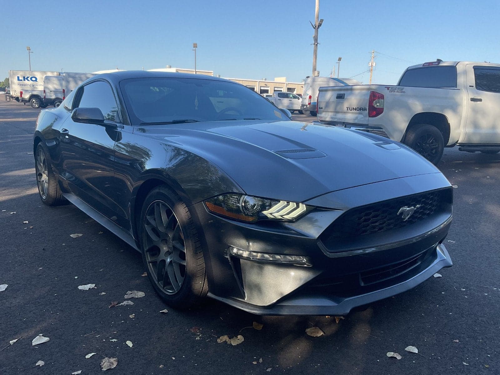 2019 Ford Mustang EcoBoost — photo 1 of 5