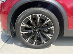 Extra Photo