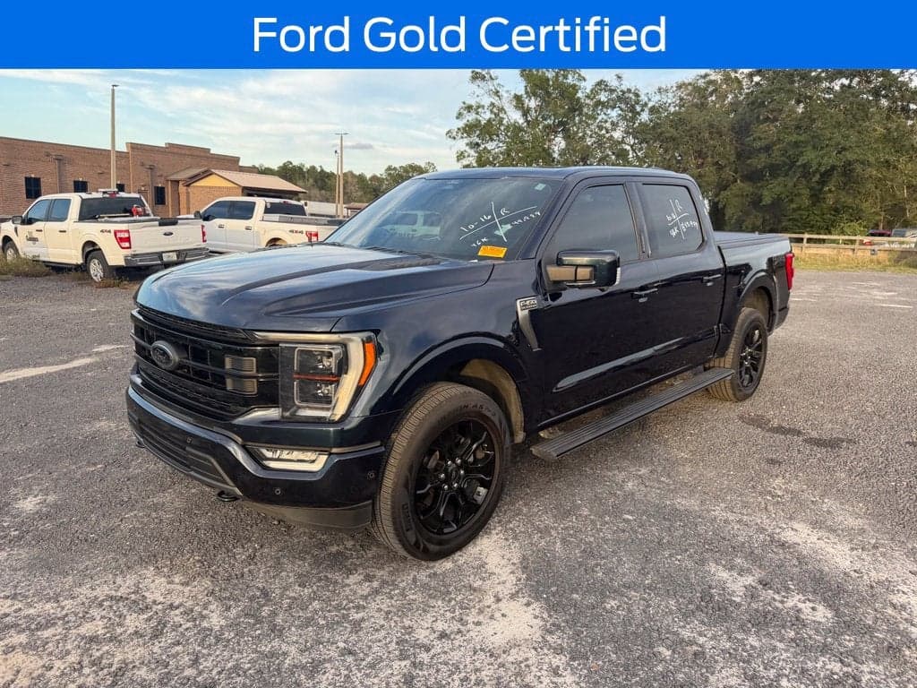 2022 Ford F-150 Platinum — photo 1 of 5