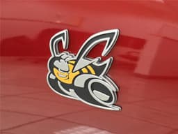 Extra Photo