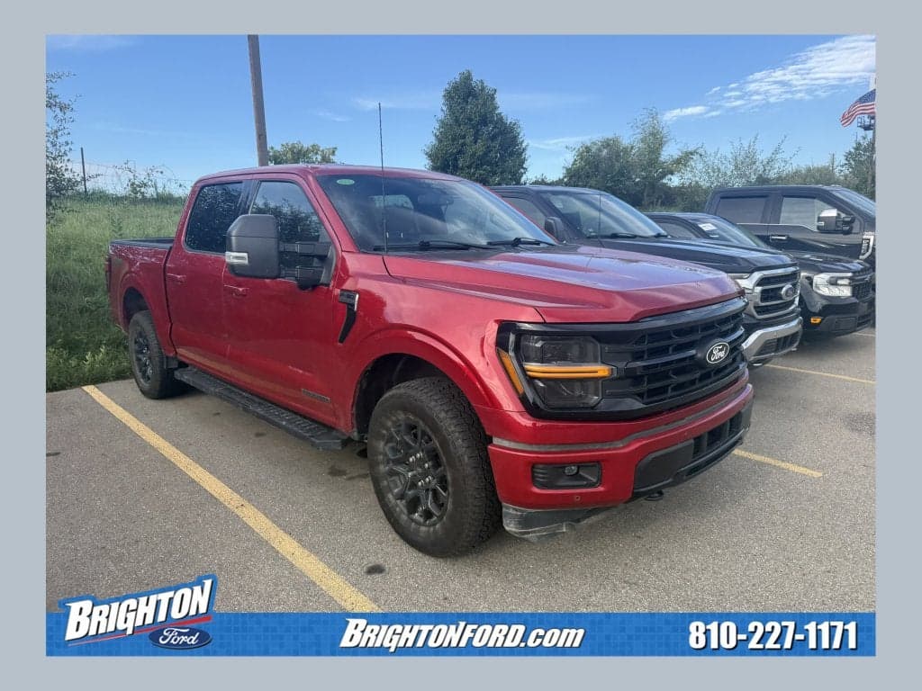 2024 Ford F-150 XLT — photo 1 of 14