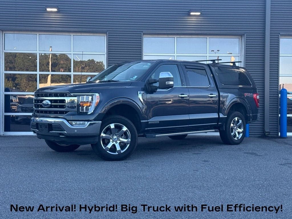 2021 Ford F-150 LARIAT — photo 1 of 7
