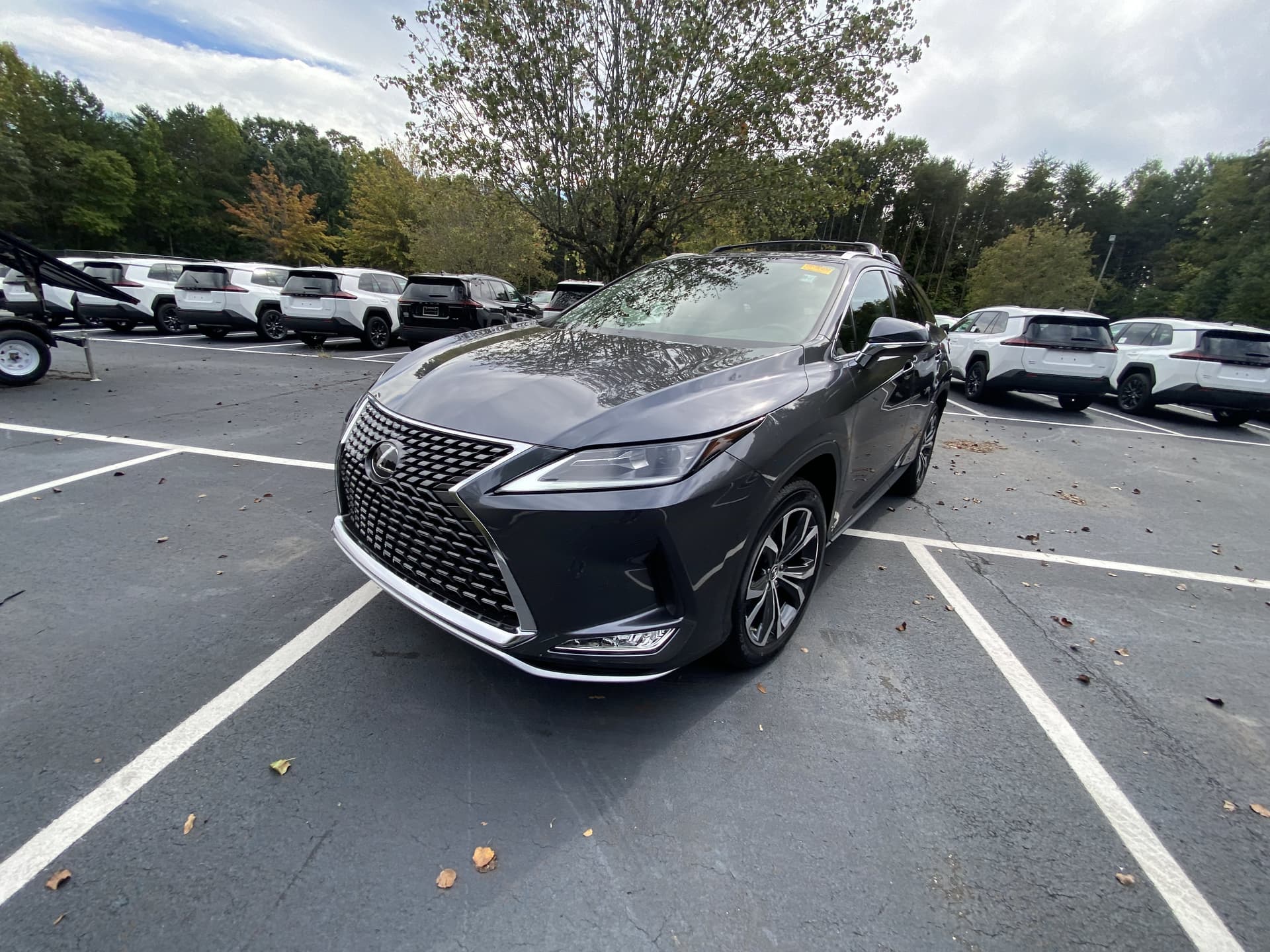 2022 Lexus RX RX 350L — photo 1 of 25