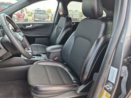 Extra Photo