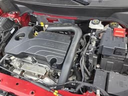 Extra Photo