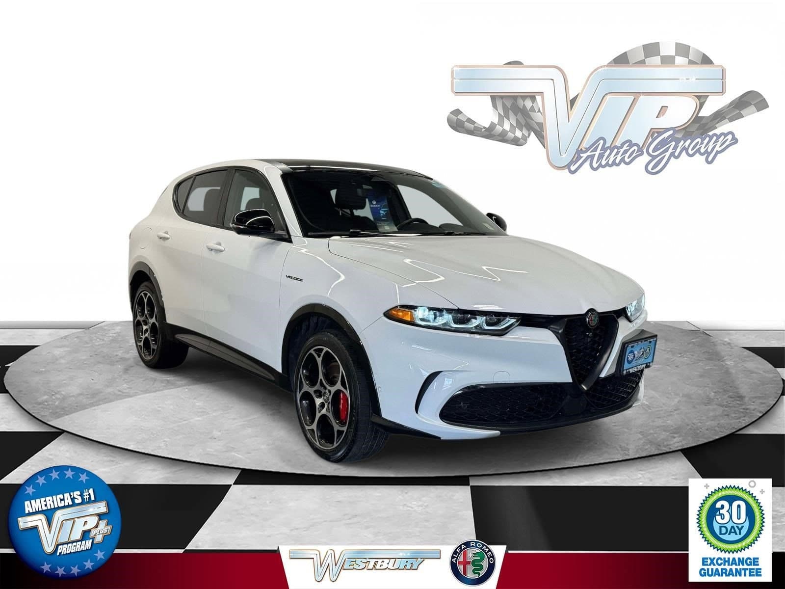 Vehicle Detail Icon