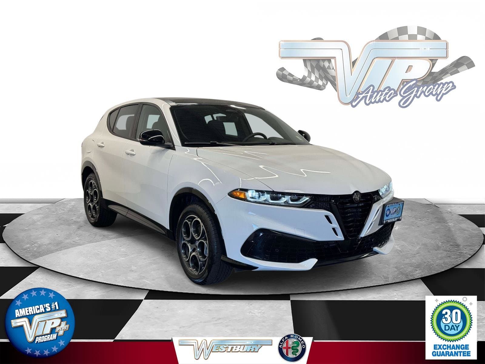 Vehicle Detail Icon