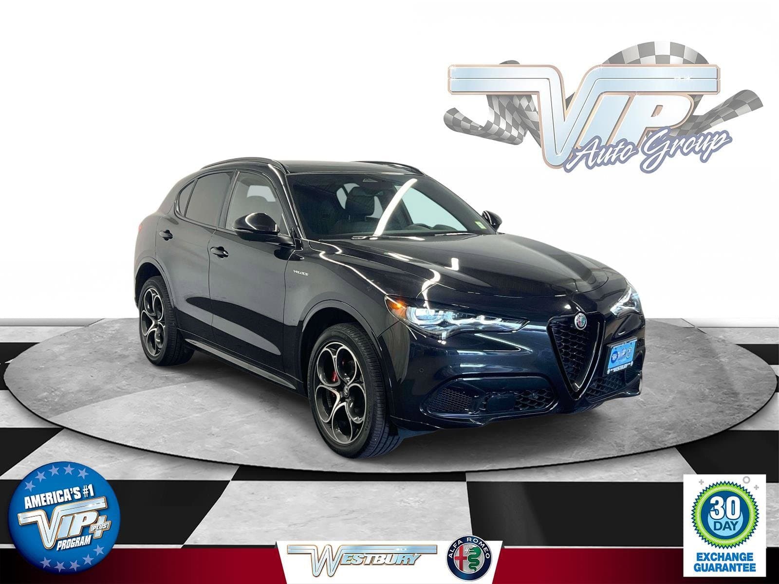Vehicle Detail Icon