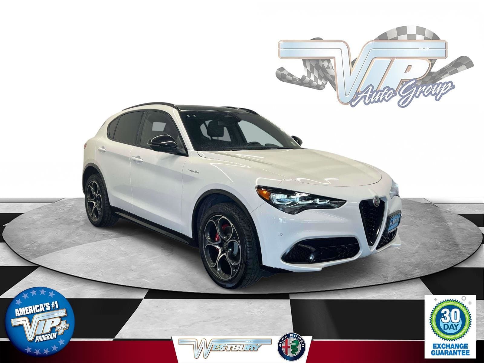 Vehicle Detail Icon