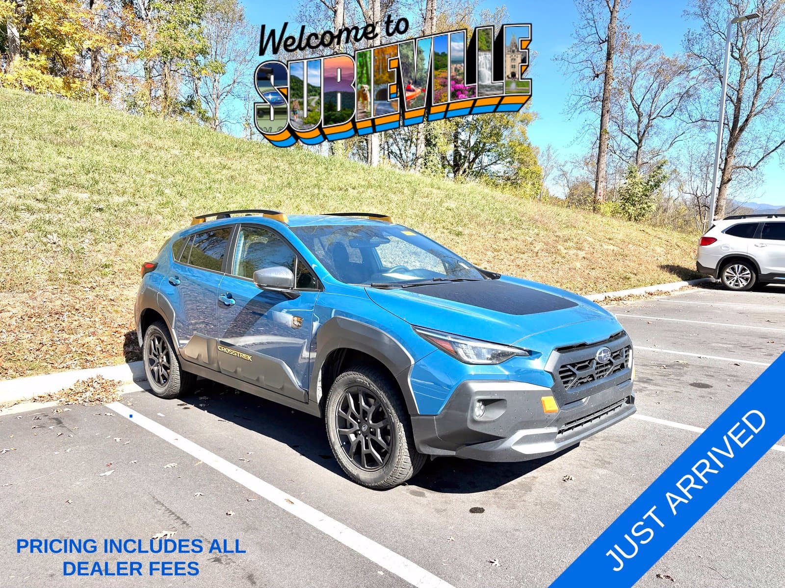 2025 Subaru Crosstrek Wilderness — photo 1 of 11