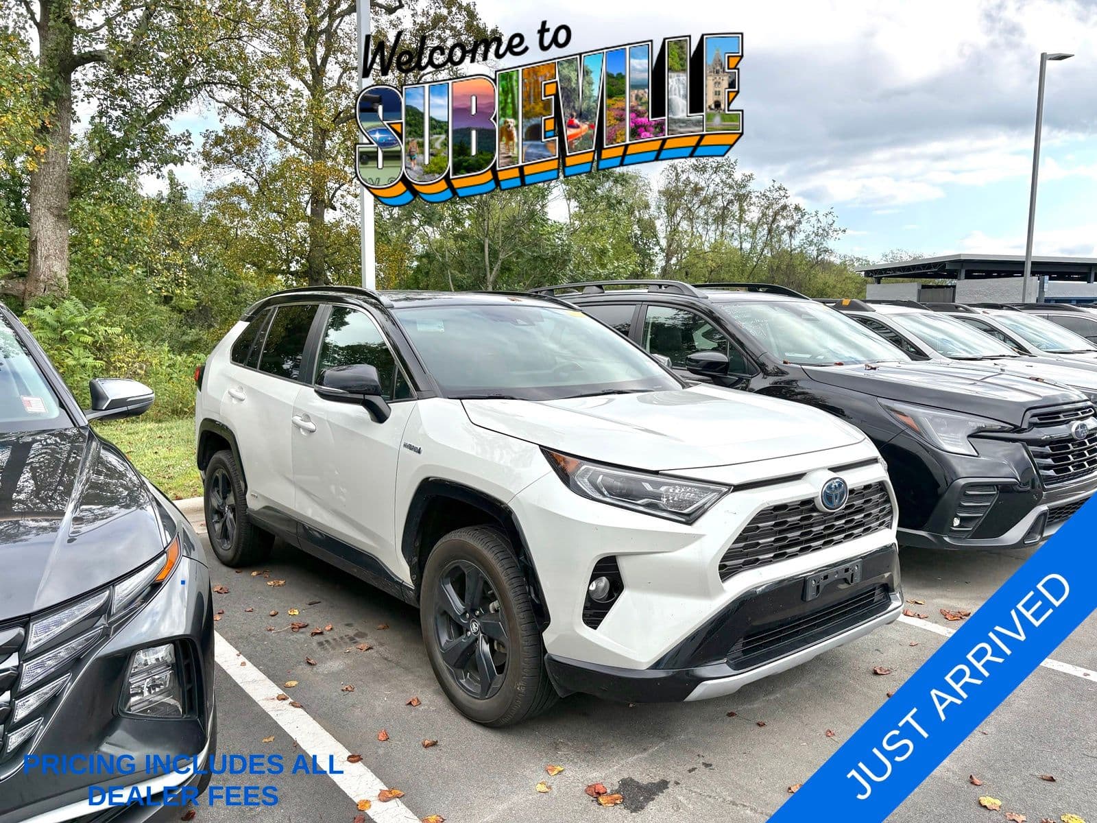 2020 Toyota RAV4 Hybrid XSE — photo 1 of 10
