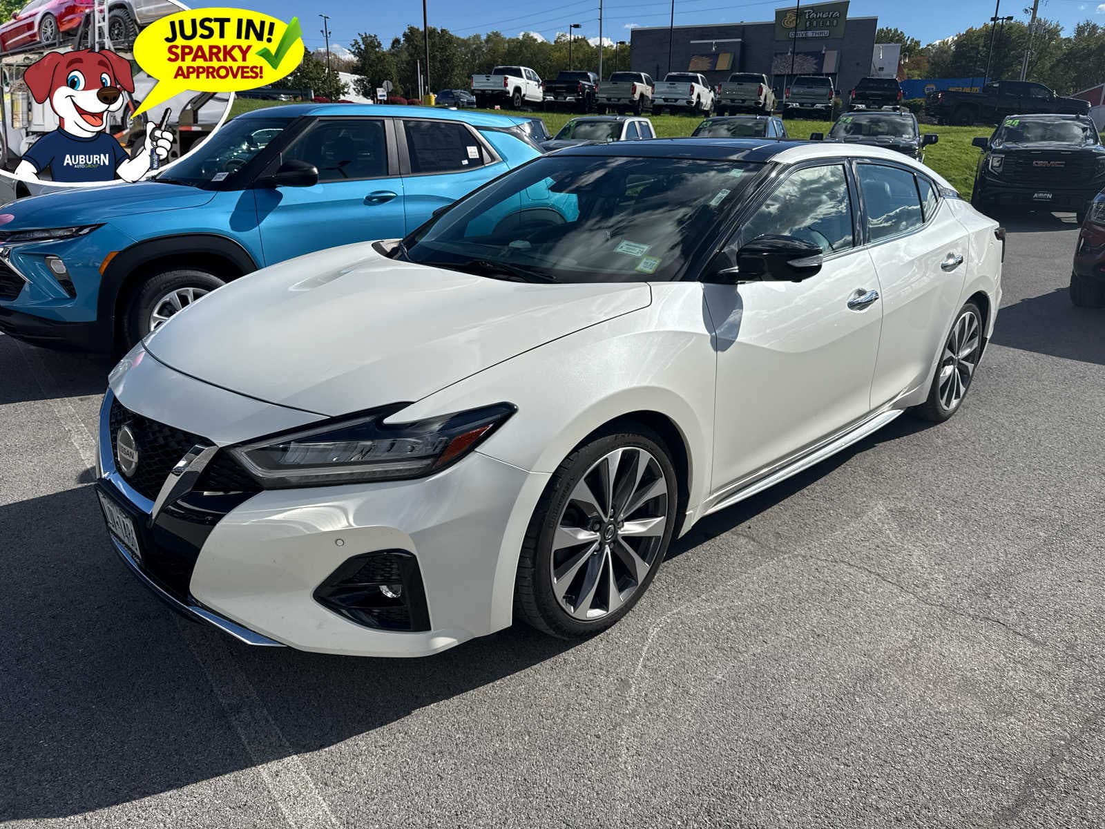 2022 Nissan Maxima Platinum — photo 1 of 12