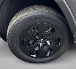 Extra Photo