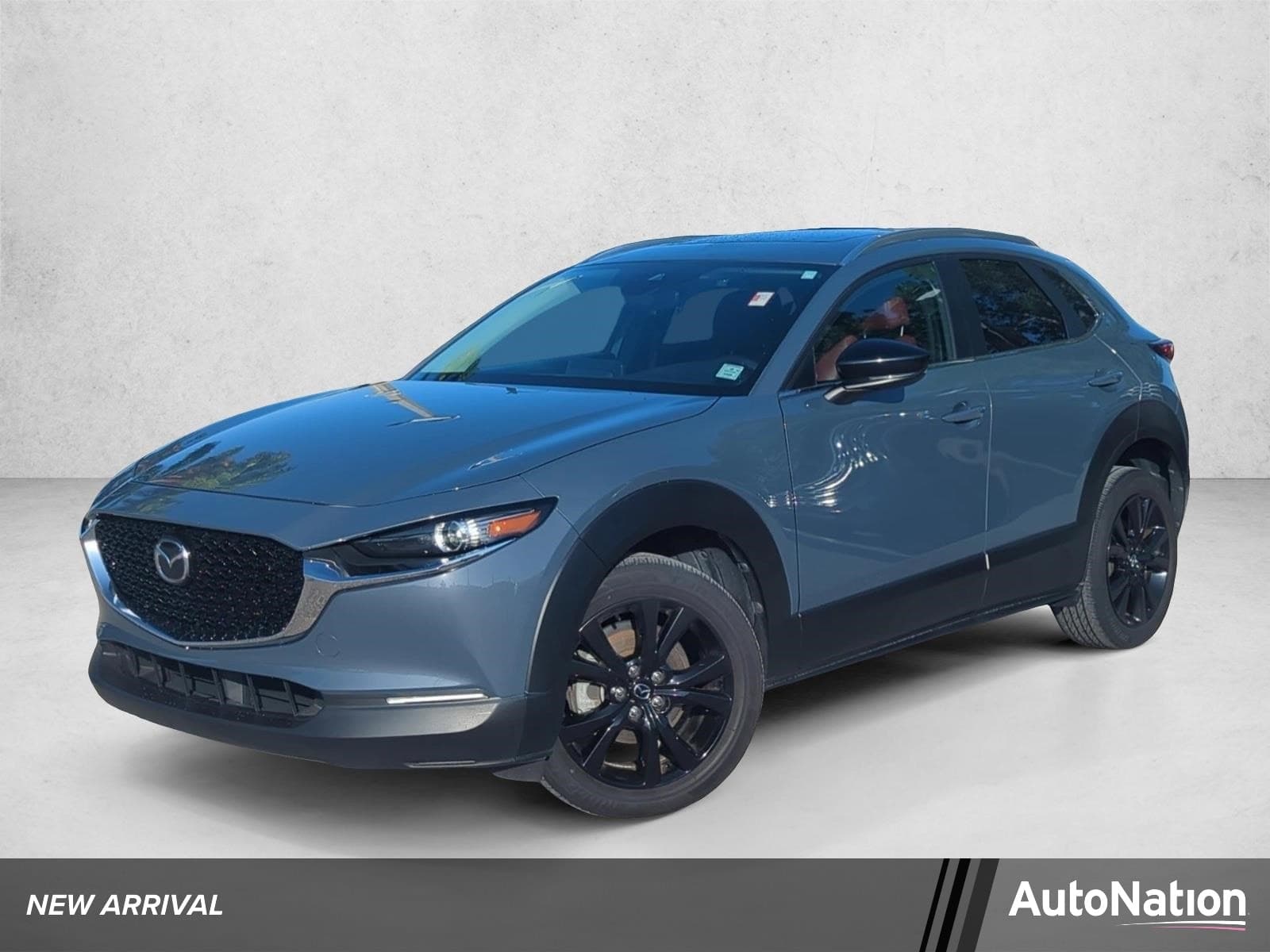 Vehicle Detail Icon