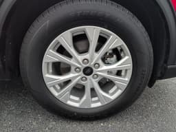 Extra Photo