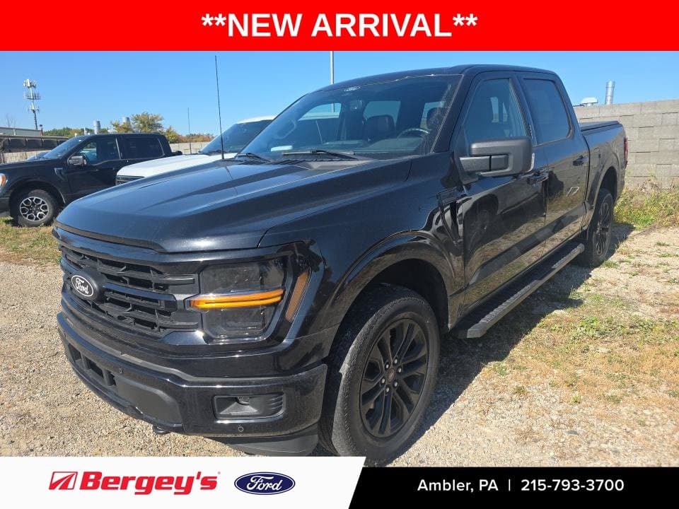 2024 Ford F-150 XLT — photo 1 of 14