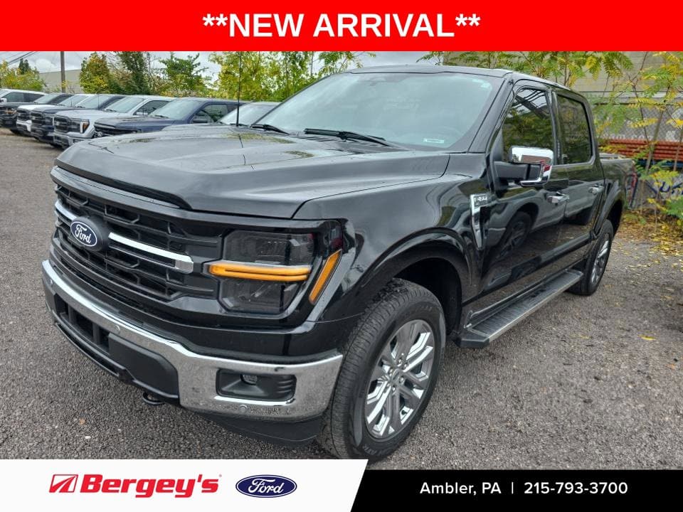 2024 Ford F-150 XLT — photo 1 of 11
