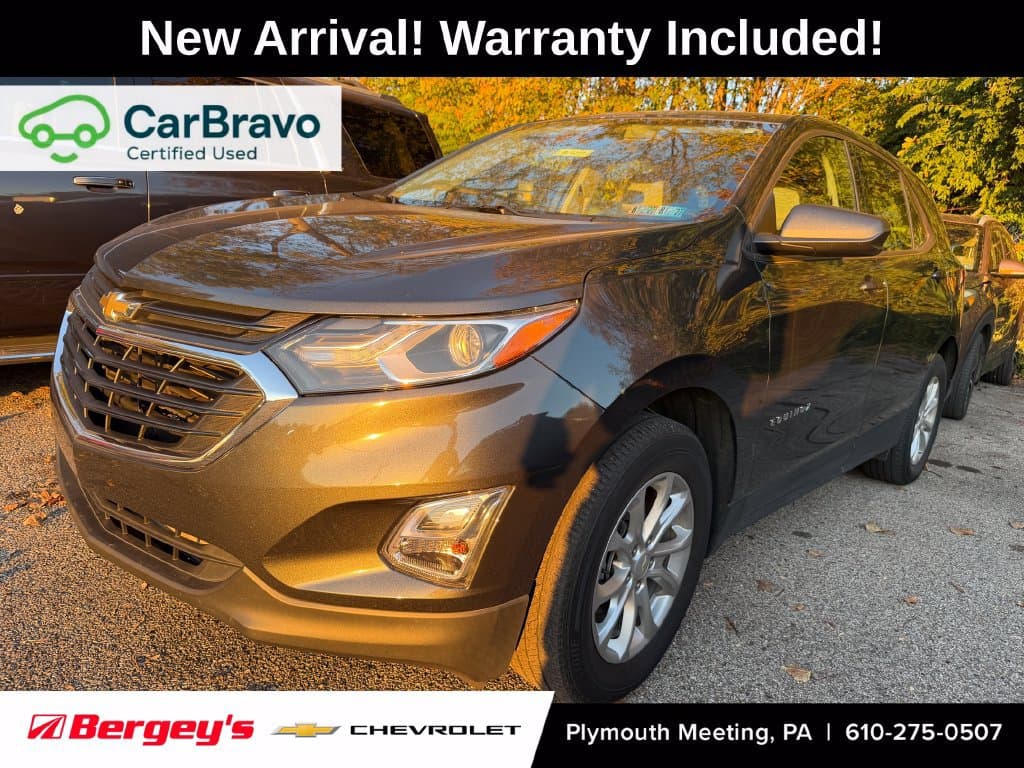 2019 Chevrolet Equinox LS — photo 1 of 15