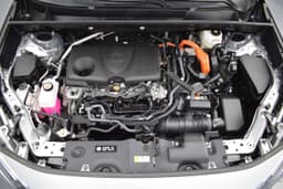 Extra Photo