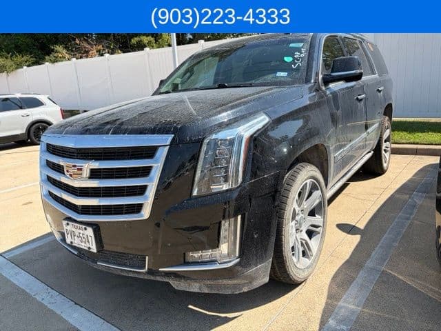 2019 Cadillac Escalade Premium Luxury — photo 1 of 13